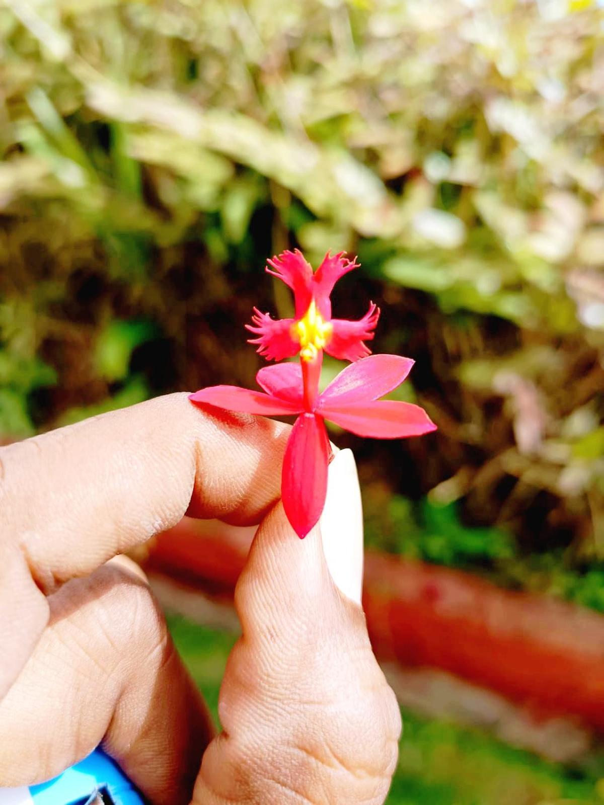 Kodai Riya Paradise Кодайканал Екстер'єр фото