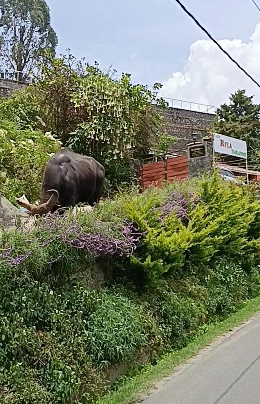 Kodai Riya Paradise Кодайканал Екстер'єр фото